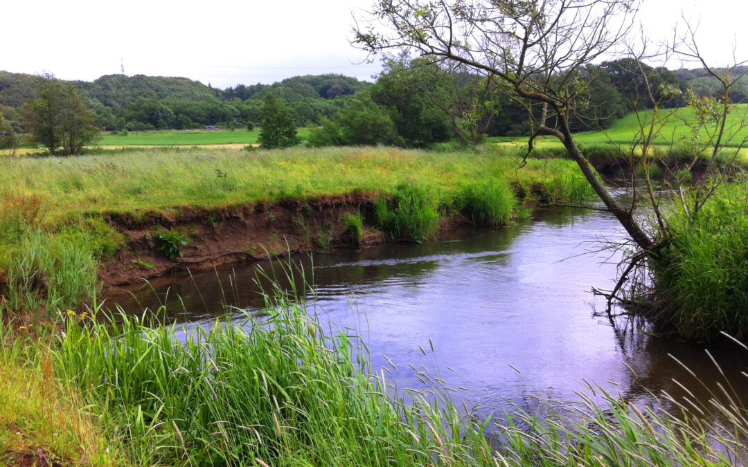 DMT i Altinget: Nye vandplaner kan bringe Danmark i front på vandteknologi