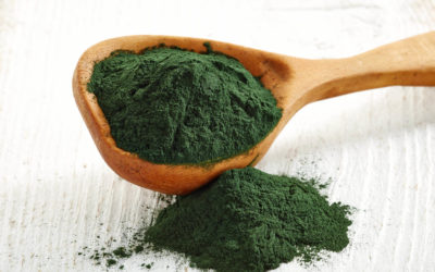 Præsentationer og noter fra mødet i partnerskab for bæredygtig bioraffinering d. 29. november 2022