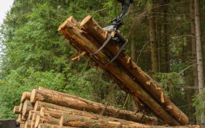 Tak for et spændende møde om optimal udnyttelse af skovens ressourcer