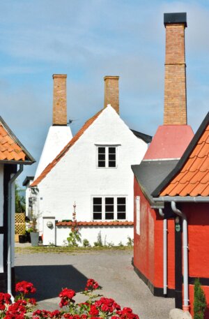 Dansk Miljøteknologi på Folkemødet