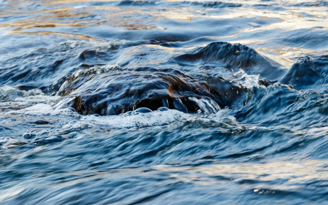Vandpolitisk Netværk