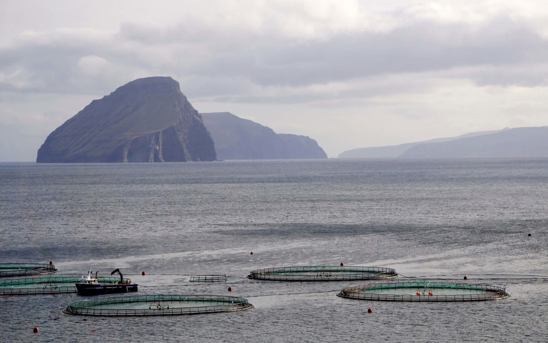 Opfordring til at udarbejde en samlet strategi for aquakultur