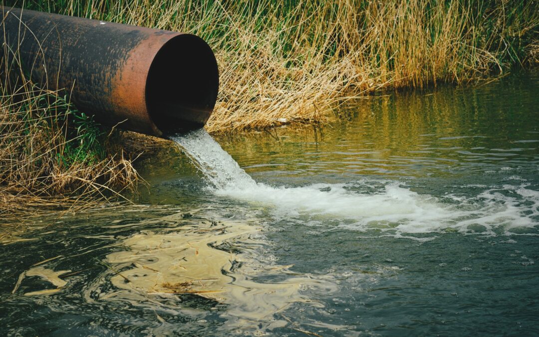 Decentral rensning af spildevand