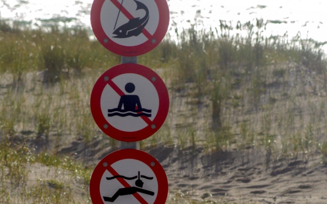 Generationsforureninger