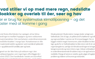 Ny kvartalsartikel fra Dansk Miljøteknologi om nødvendigheden af systematisk klimatilpasning